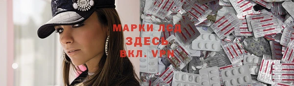 спайс Гусев