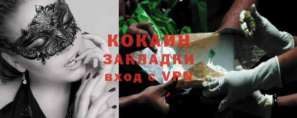 спайс Гусев