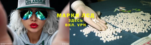 спайс Гусев