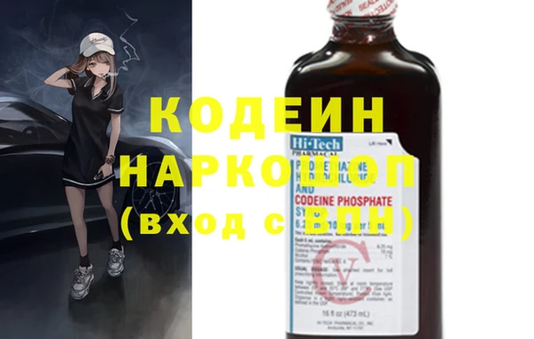 прущие грибы Сосновый Бор