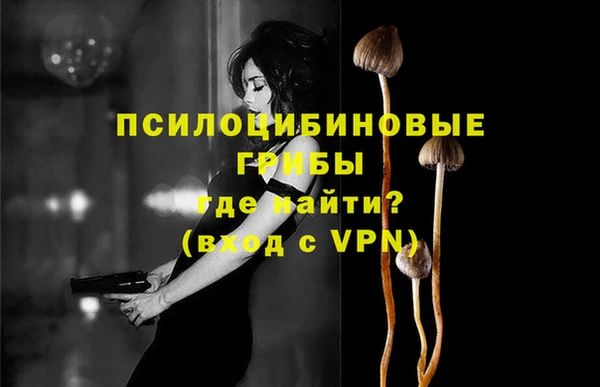 спайс Гусев