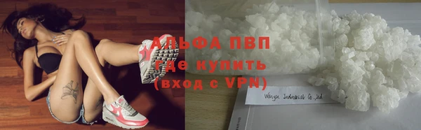 спайс Гусев