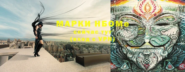 мяу мяу мука Гусиноозёрск
