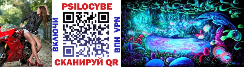 Псилоцибиновые грибы Psilocybe  Чердынь 